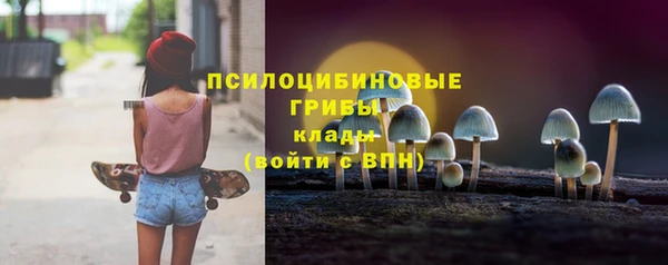 СК Алексин