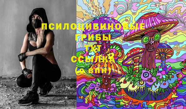 прущий лед Алексеевка